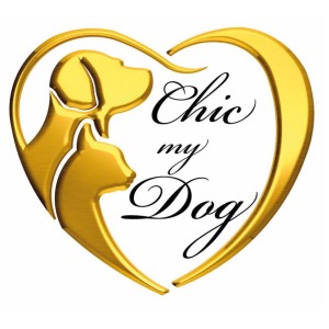 chic-my-dog